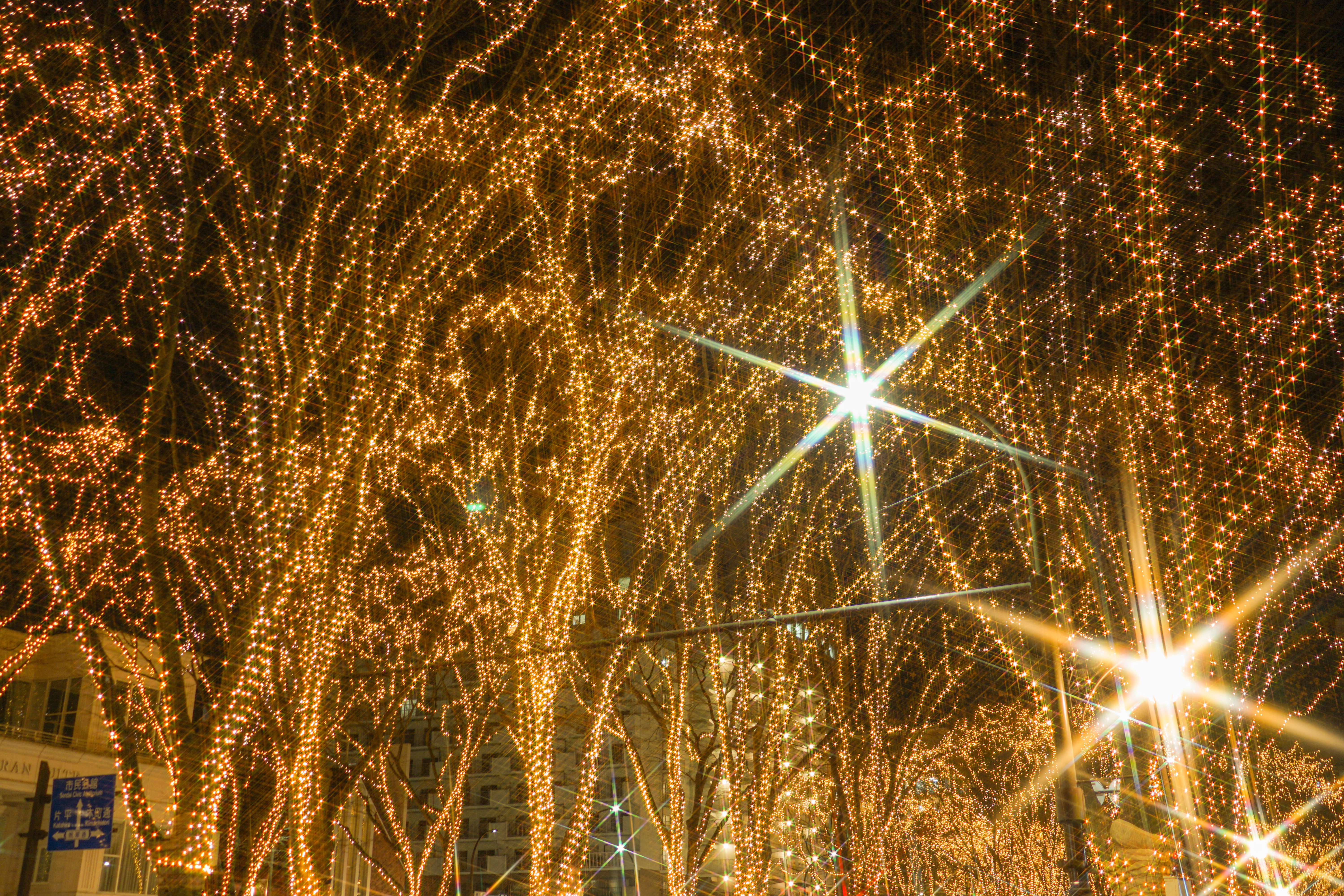 バリアフリーツアーの様子4